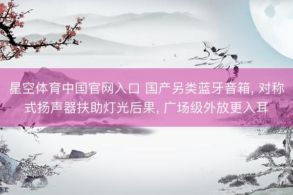 星空体育中国官网入口 国产另类蓝牙音箱， 对称式扬声器扶助灯光后果， 广场级外放更入耳