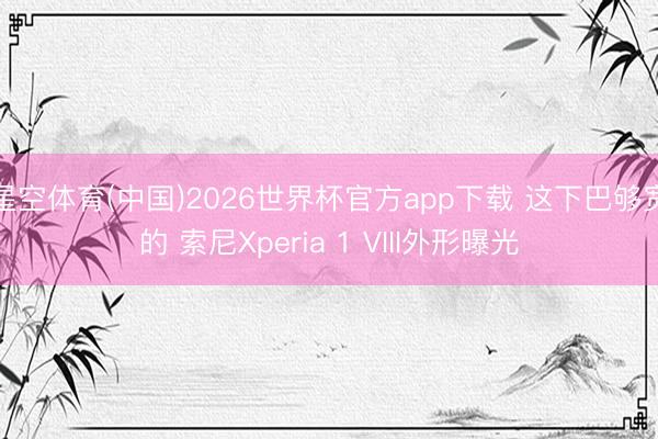 星空体育(中国)2026世界杯官方app下载 这下巴够宽的 索尼Xperia 1 VIII外形曝光