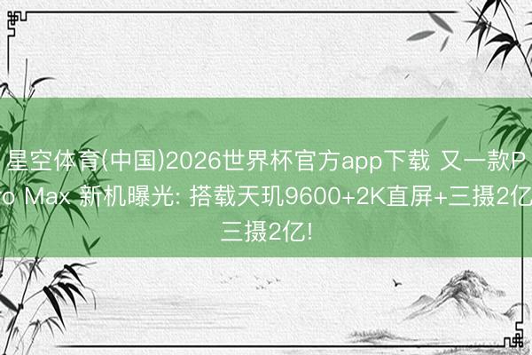 星空体育(中国)2026世界杯官方app下载 又一款Pro Max 新机曝光: 搭载天玑9600+2K直屏+三摄2亿!