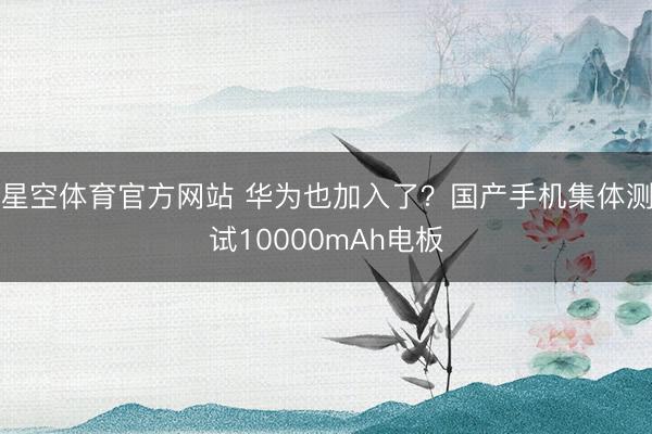 星空体育官方网站 华为也加入了？国产手机集体测试10000mAh电板