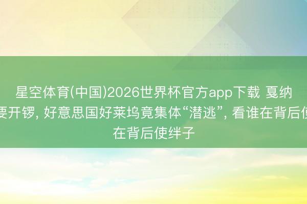 星空体育(中国)2026世界杯官方app下载 戛纳大戏要开锣， 好意思国好莱坞竟集体“潜逃”， 看谁在背后使绊子