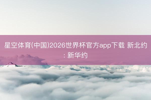 星空体育(中国)2026世界杯官方app下载 新北约: 新华约