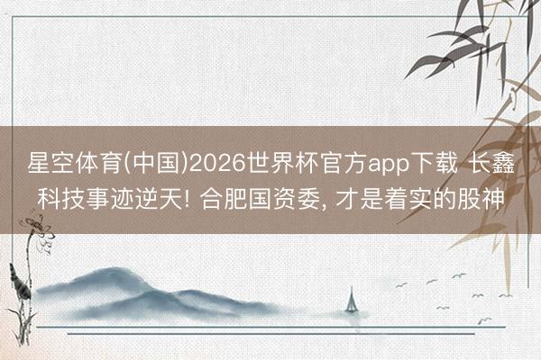 星空体育(中国)2026世界杯官方app下载 长鑫科技事迹逆天! 合肥国资委， 才是着实的股神