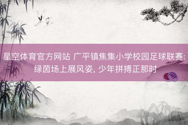 星空体育官方网站 广平镇焦集小学校园足球联赛: 绿茵场上展风姿， 少年拼搏正那时