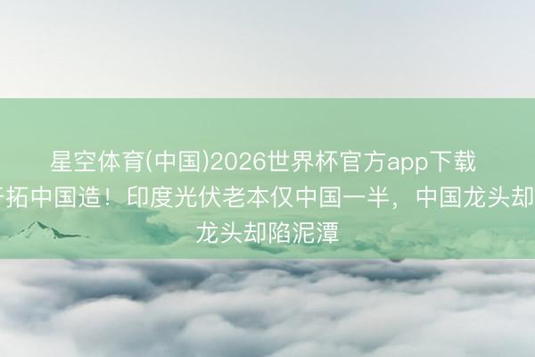 星空体育(中国)2026世界杯官方app下载 85%开拓中国造！印度光伏老本仅中国一半，中国龙头却陷泥潭