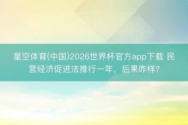 星空体育(中国)2026世界杯官方app下载 民营经济促进法推行一年，后果咋样？