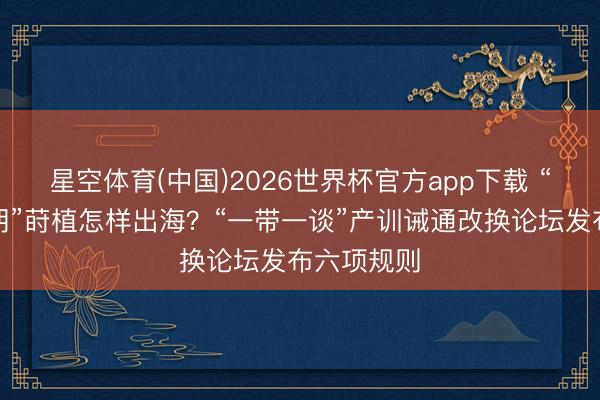 星空体育(中国)2026世界杯官方app下载 “新帆海时期”莳植怎样出海？“一带一谈”产训诫通改换论坛发布六项规则
