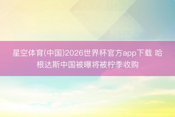星空体育(中国)2026世界杯官方app下载 哈根达斯中国被曝将被柠季收购