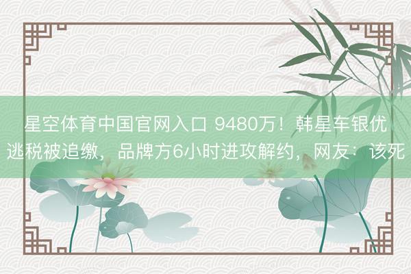 星空体育中国官网入口 9480万！韩星车银优逃税被追缴，品牌方6小时进攻解约，网友：该死