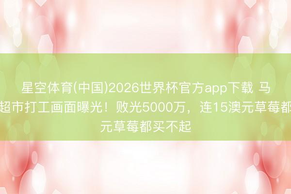 星空体育(中国)2026世界杯官方app下载 马蓉澳洲超市打工画面曝光！败光5000万，连15澳元草莓都买不起