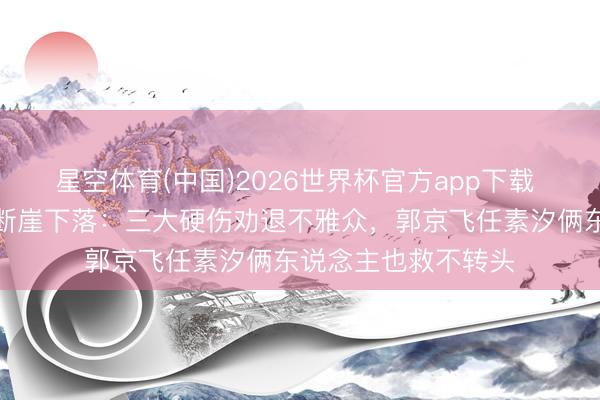 星空体育(中国)2026世界杯官方app下载 央八《迷墙》收视断崖下落:三大硬伤劝退不雅众,郭京飞任素汐俩东说念主也救不转头